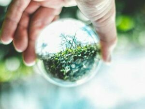 circular economics-modified